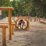 Nefes Dagyenice Dogada بورصة