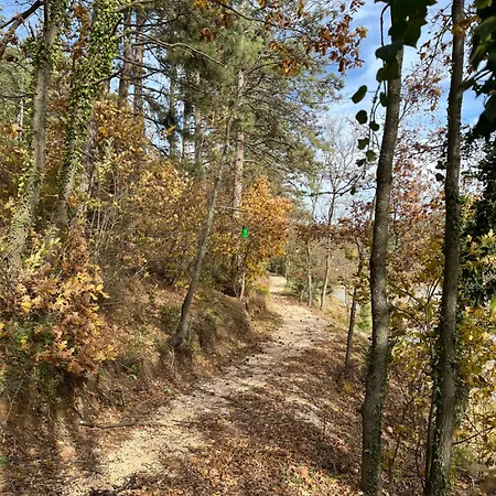 Campsite Nefes Dagyenice Dogada Bursa