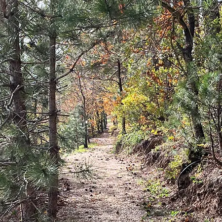 Nefes Dagyenice Dogada Camping