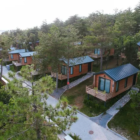 Nefes Dağyenıce Bursa