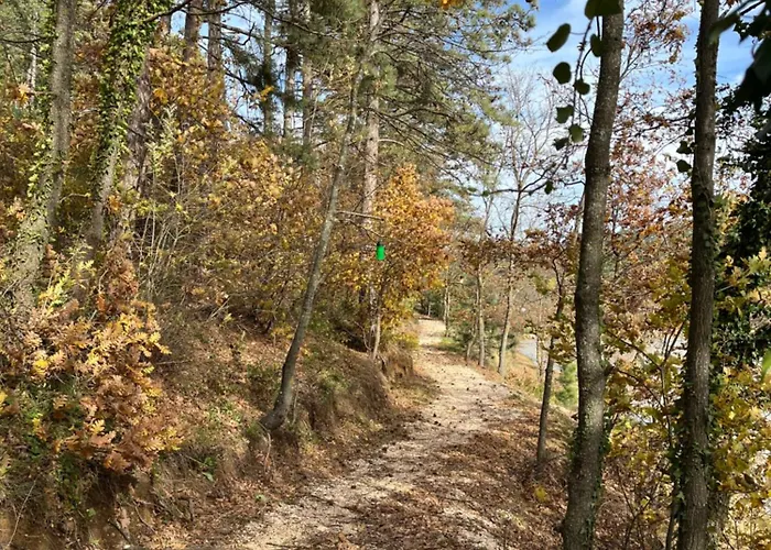 Kamp alanı Nefes Dağyenice Doğada Bursa