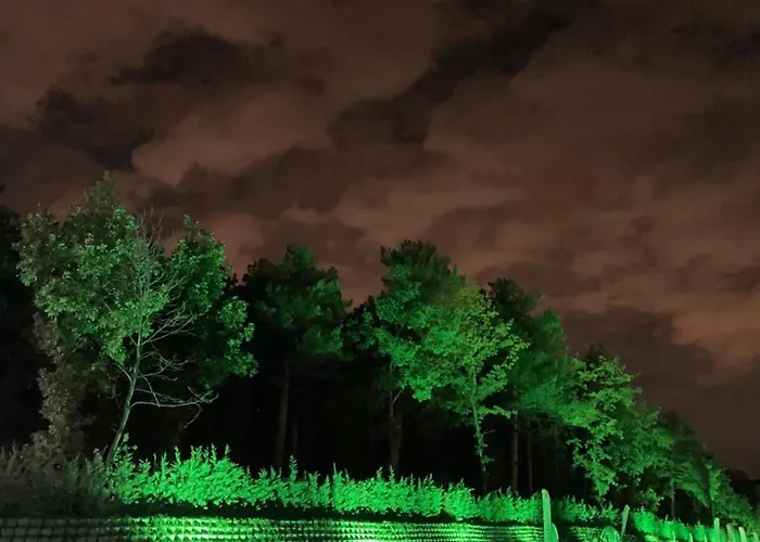 Nefes Dağyenice Doğada Kamp alanı Bursa