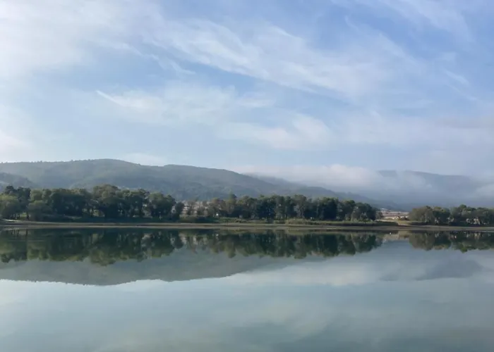 Nefes Dağyenice Doğada Bursa