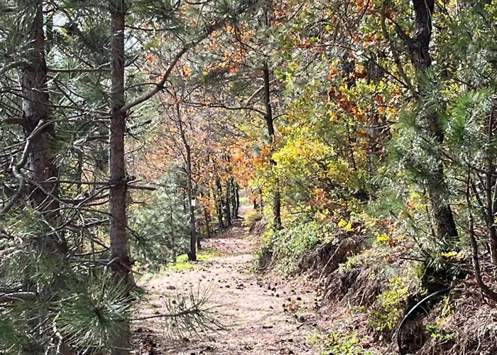 Nefes Dagyenice Dogada 캠프장