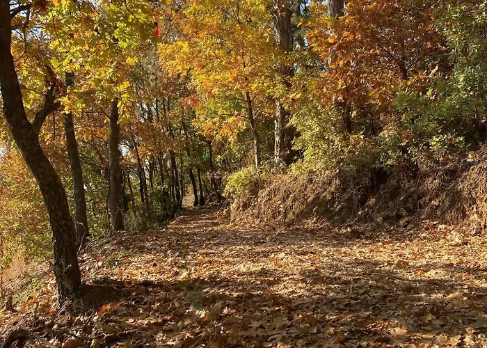 Nefes Dağyenice Doğada
